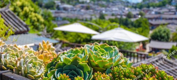 吉祥花园·设计师观日出美宿(丽江古城大水车店)图片