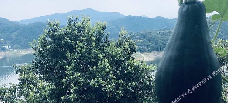 安康瀛湖民宿图片