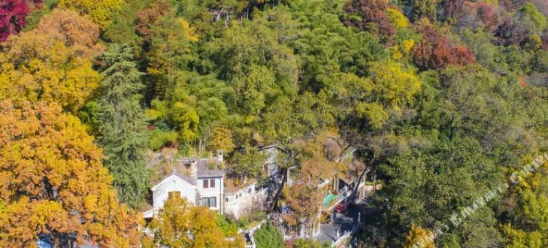天目山留椿屋图片