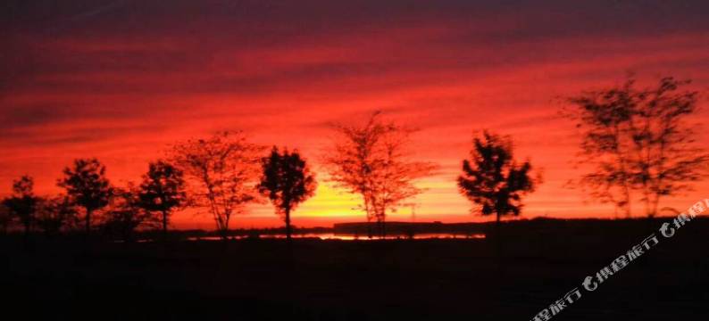 布尔津禾原牧居图片