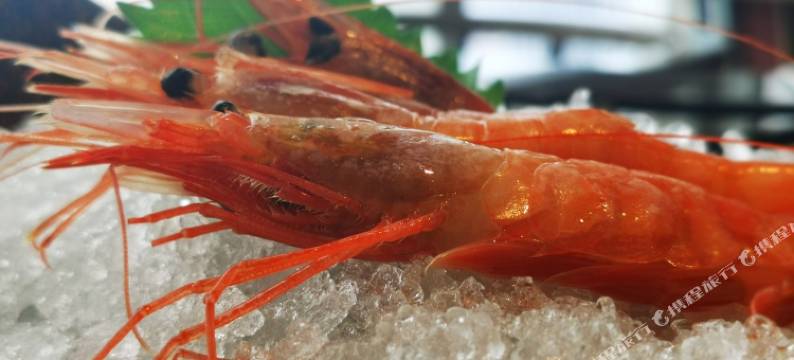 星尚思唯特公寓(机场路店)图片