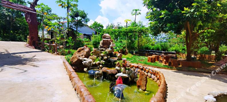 涠洲岛欢歌渔家乐图片