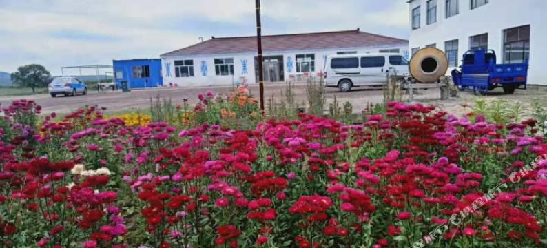 多伦绿丰源农家院图片