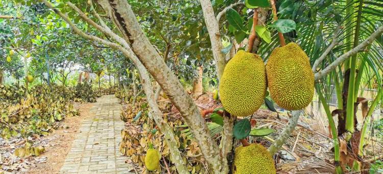 花筑·汇友苑民宿(潭门镇店)图片