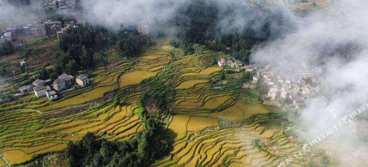 元阳原舍阿者科酒店(阿者科古村落店)图片