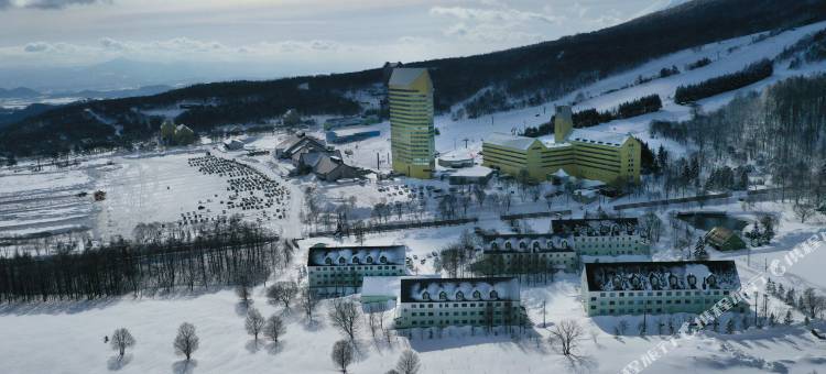 安比高原皇冠假日度假村 - IHG 旗下酒店(Crowne Plaza - ANA RESORT APPI KOGEN)图片