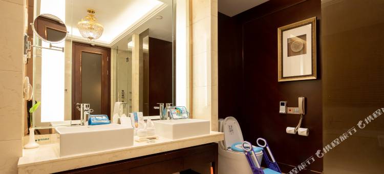 西安大唐西市酒店(高新西北工业大学地铁站)图片