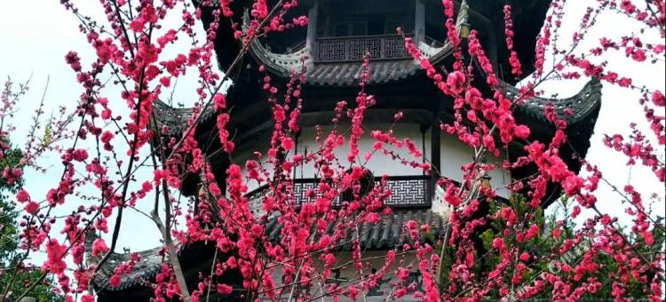双塘客栈(桃花潭风景区店)图片