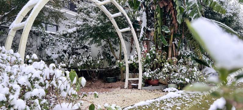 漫步山乡·莫干山法式温泉亲子溯溪轻奢美墅图片