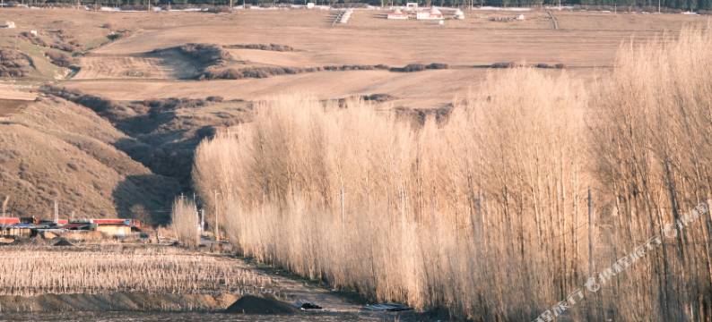 乌鲁木齐几里民宿咖啡露营图片