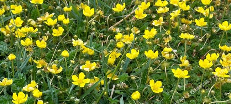 黑马河观日民宿图片