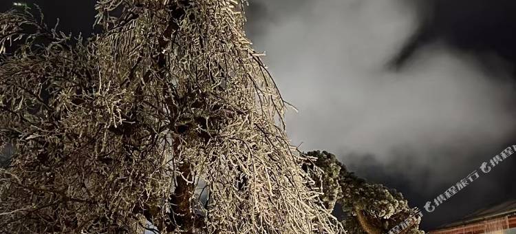 庐山卫斯里玫瑰园别墅图片