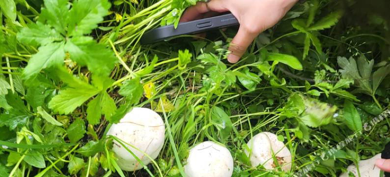 库尔德宁朴宿民宿图片