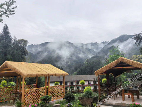 瓦屋山静心小院民宿