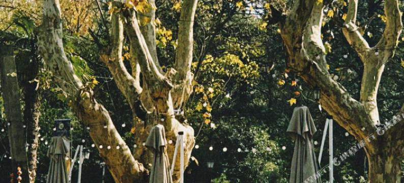 南京中山陵行者房车营地酒店图片