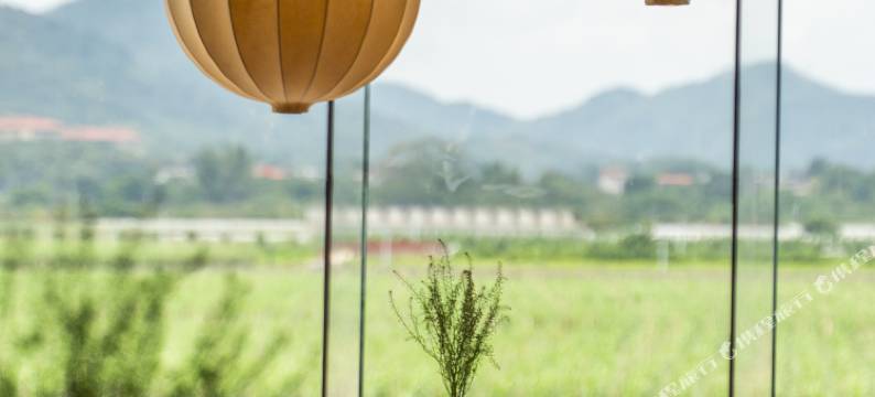 广州白水寨雅致酒店图片