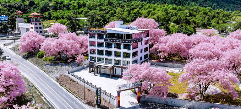 帕居白宫酒店(林芝波密318国道桃花沟店)图片