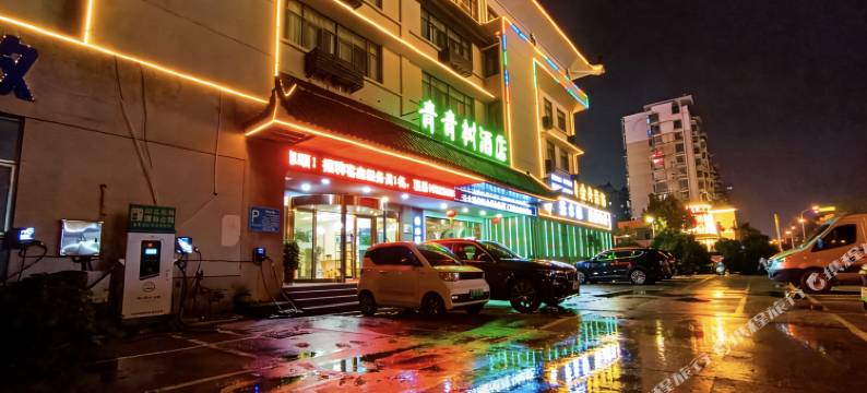 青青树酒店(安庆吾悦广场皖江大道店)图片