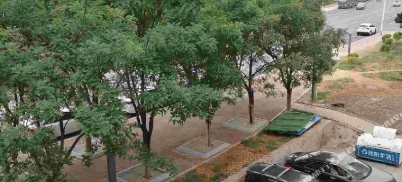 沈阳晚庭旅馆图片