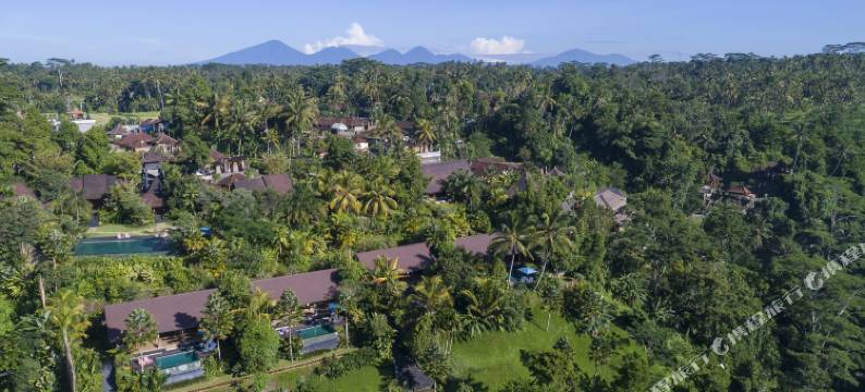 乌布谷精品度假村(Ubud Valley Boutique Resort)图片