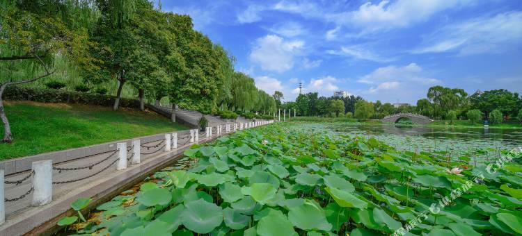 尚客优酒店(阜阳经二路店)图片