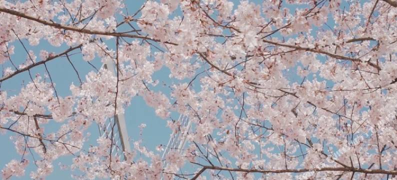 如家商旅酒店(杭州西湖湖滨步行街店)图片