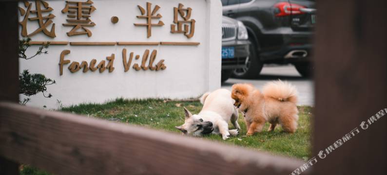 浅云半岛·森林私汤度假小院图片