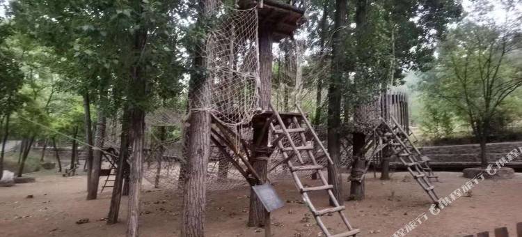 蟠龙第一家民宿图片