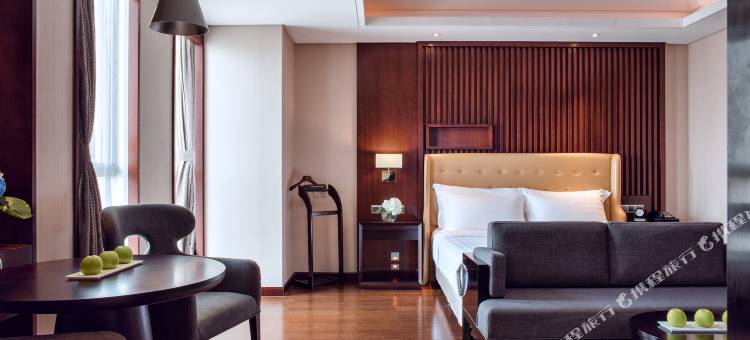 成都丽呈明宇丽雅饭店(春熙太古里店)图片