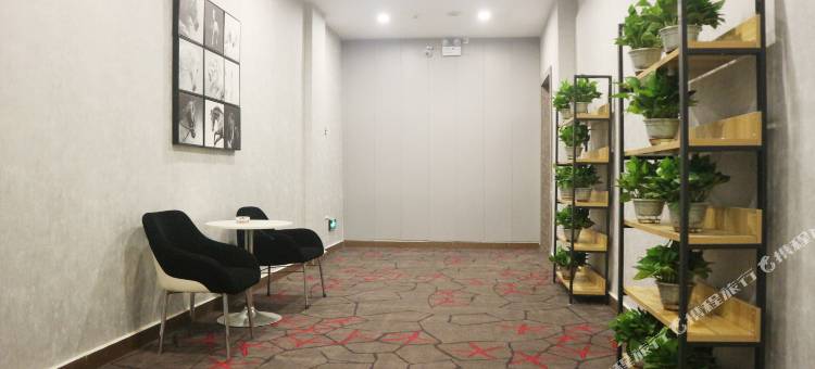 铂悦连锁酒店(人民路漯河市第二高级中学店)图片