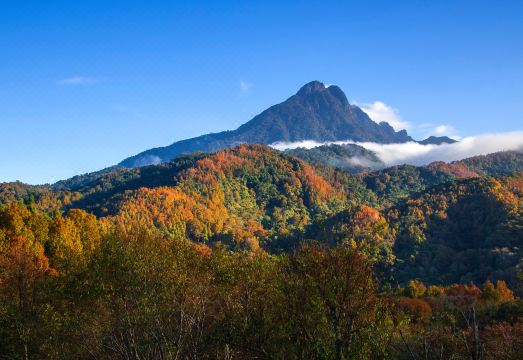 Yujing Hotel Hotel Overview