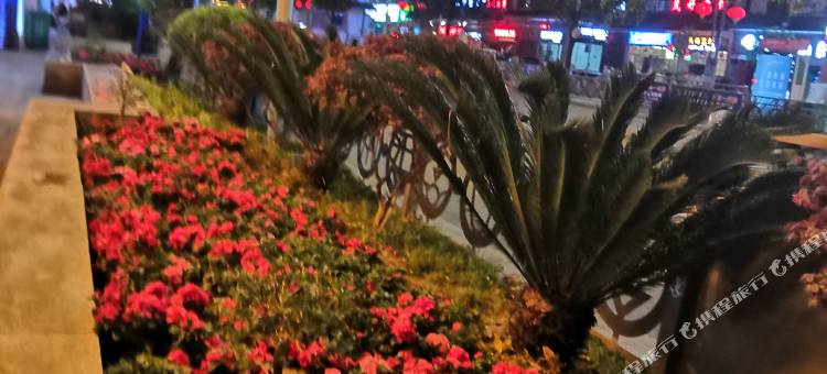 雅尼斯金马酒店图片