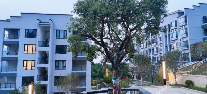 老君山栖心客栈图片