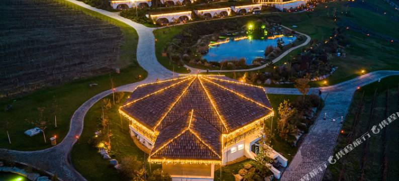 提米斯豪宅 - 健康&Spa度假村(Casa Timiș - Wellness & Spa Resort)图片