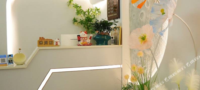 白月川公寓(顺德欢乐海岸Plus店)图片