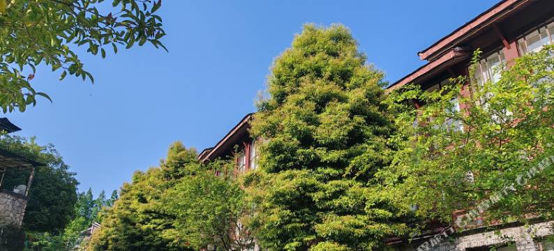 青城后山云尚酒店图片