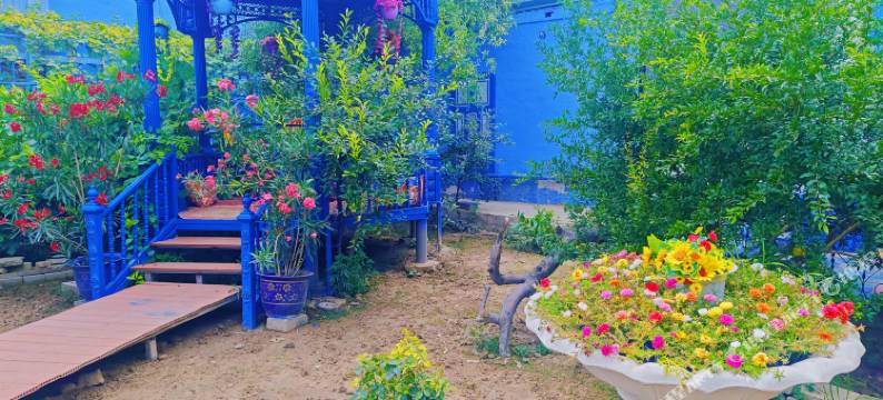 伊宁星辰蓝宫民宿(喀赞其民俗旅游区店)图片