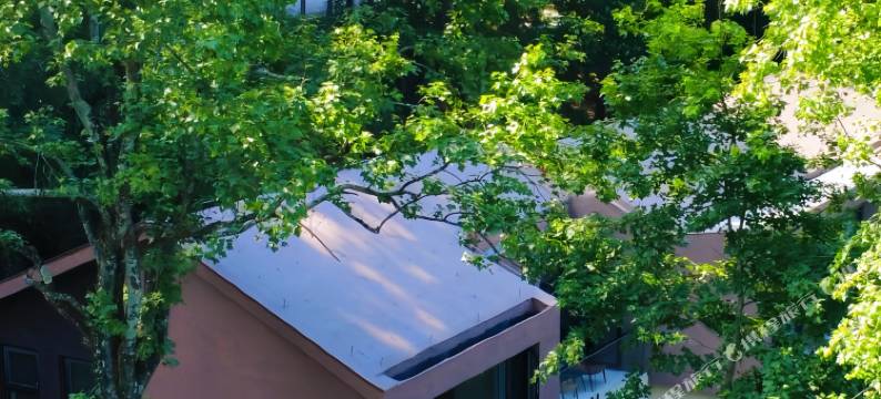 山居乐·秘境云宿(南岳衡山半山亭店)图片