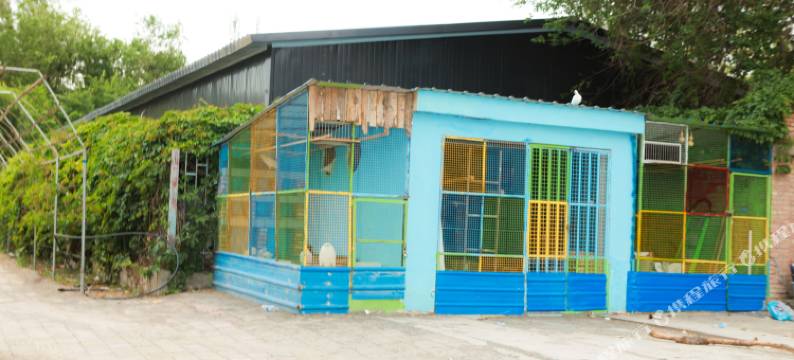 疆山印象民宿图片