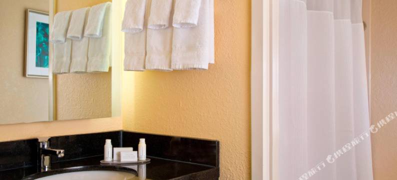 奥兰多布纳维斯塔湖万豪万枫套房酒店，位于万豪村内(Fairfield Inn & Suites by Marriott Orlando Lake Buena Vista in The Marriott Village)图片
