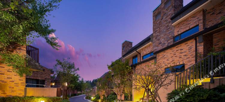 枫林山墅(安吉五峰山店)图片