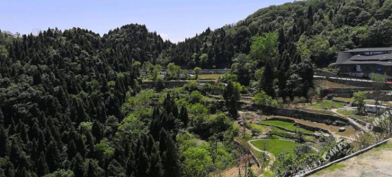 宜昌顺意居客栈图片