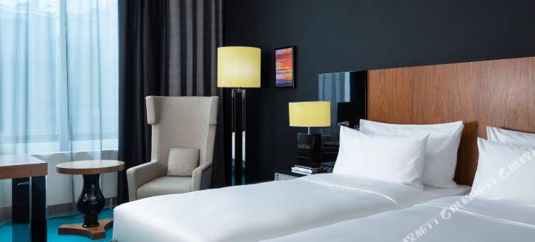 莫斯科谢列梅捷沃机场宇宙精选酒店(Cosmos Selection Moscow Sheremetyevo Airport Hotel, a Member of Radisson Individuals)图片