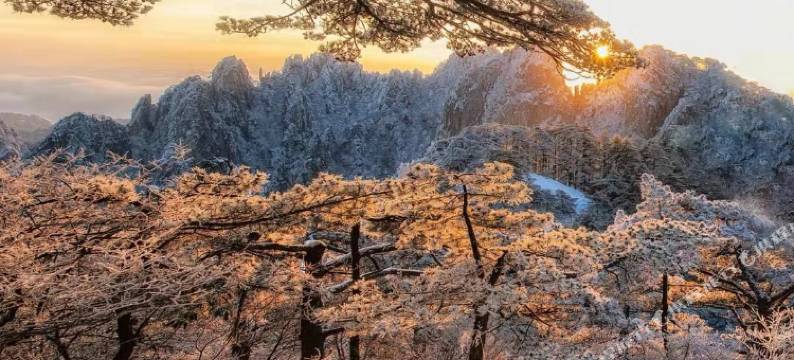 揽山归云民宿(黄山风景区店)图片