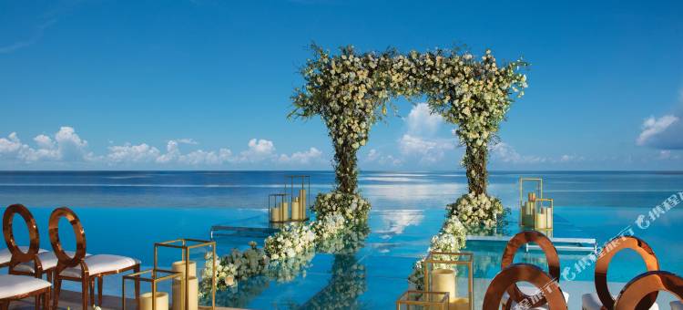 坎昆里维埃拉现在自然酒店(Dreams Natura Resort and Spa)图片