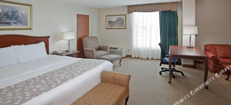 市中心会议中心拉昆塔温德姆套房酒店(La Quinta Inn & Suites by Wyndham Downtown Conference Center)图片