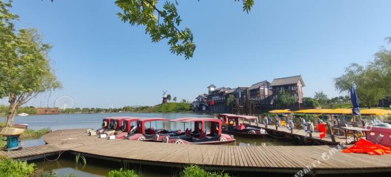 孝感金卉庄园渔家小院别墅图片