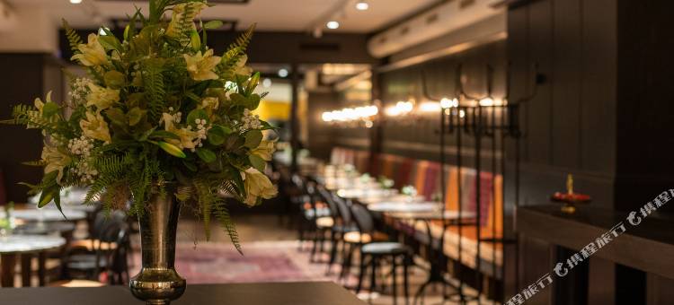 阿梅迪亚广场威尔斯酒店，温德姆Trademark精选(Amedia Plaza Wels, Trademark Collection by Wyndham)图片