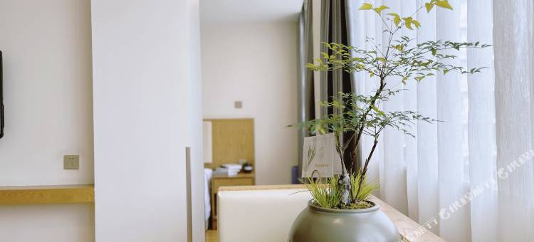 速8酒店(厦门火车站假日商城店)图片