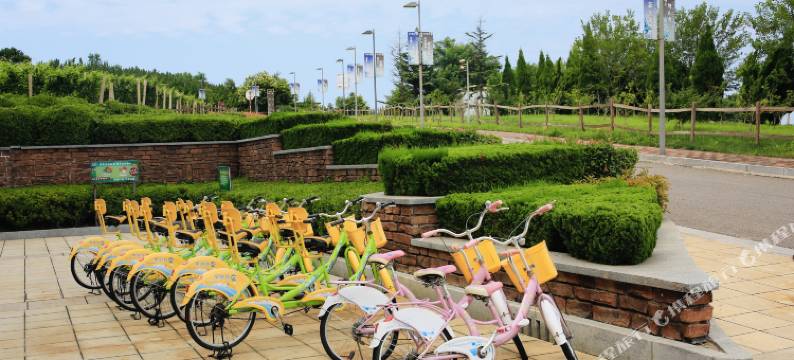 蓬莱泰生小镇哈喽民宿图片